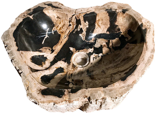 a brown and black color mixed petrified wood vessel sink with natural exterior and plished bowl and lip