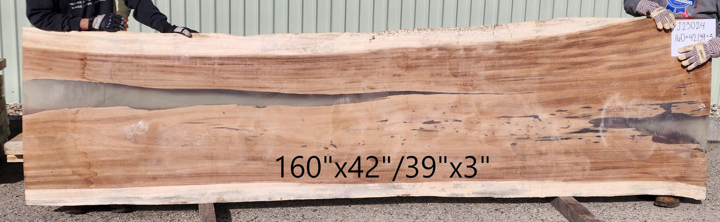 Parota #J23024 - Impact Imports