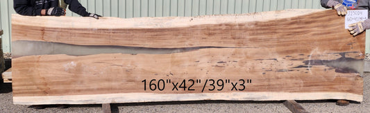 Parota #J23024 - Impact Imports