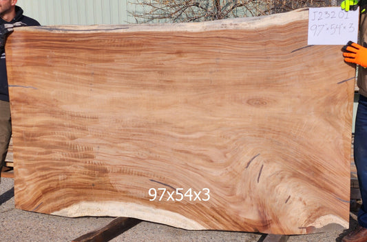Parota #J23201 - Impact Imports