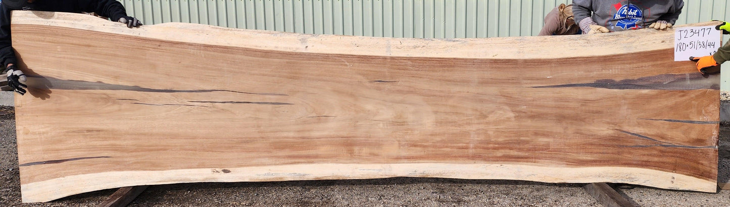 Parota #J23477 - Impact Imports