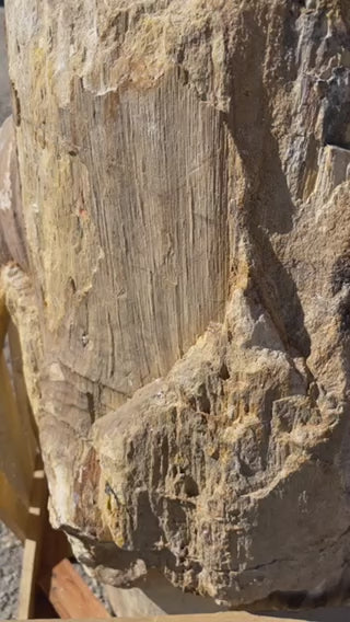 brown colored petrified wood stone pedestal sink with 3 knots around the body.  located at impact imports in boise, idaho