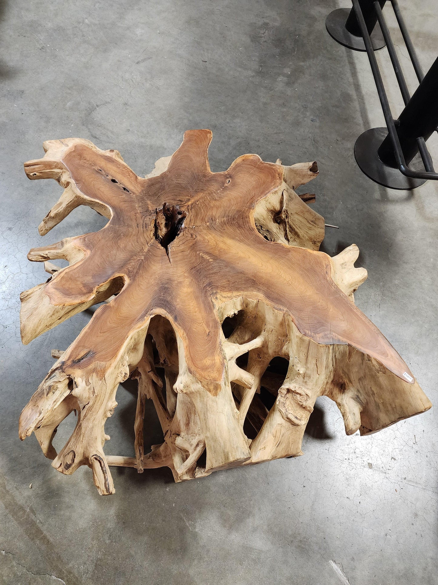 Teak Root Coffee Table - Impact Imports