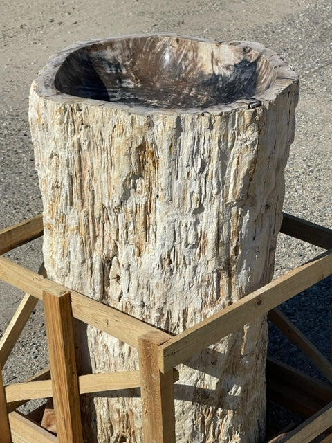 River Boulder & Petrified Wood Pedestal Sinks