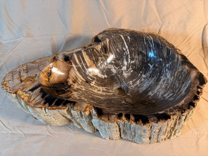 Petrified Wood Stone Vessel Sink, PW23