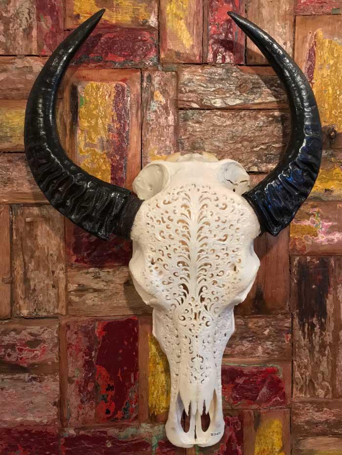 Hand Carved Water Buffalo Skull, Lace Design - Impact Imports