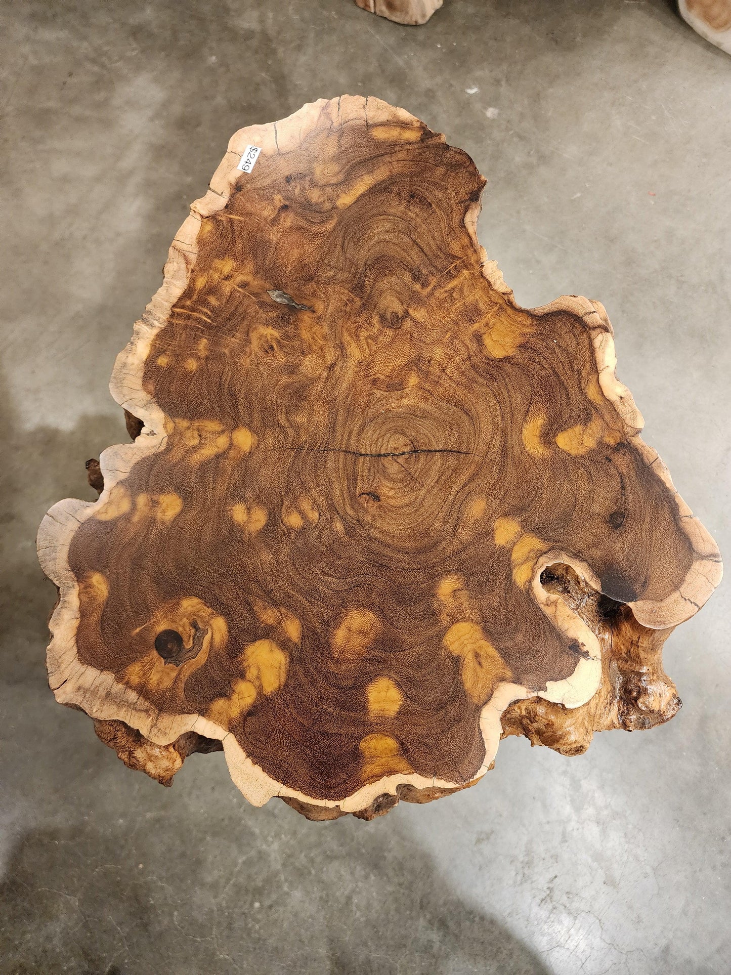 Live Edge End Table - NEST2 - Impact Imports