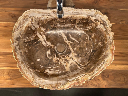 Petrified Wood Stone Vessel Sink, PW2 - Impact Imports