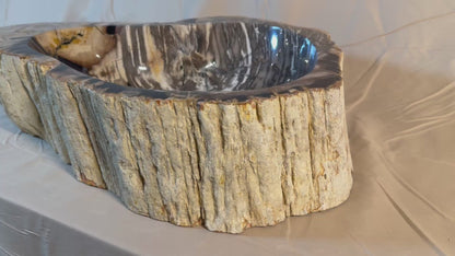 Petrified Wood Stone Vessel Sink, PW23