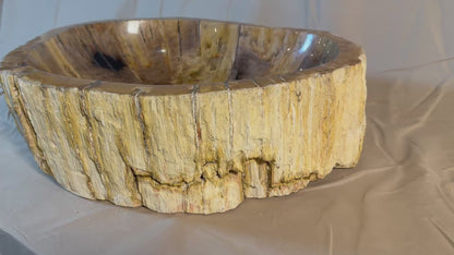 Petrified Wood Stone Vessel Sink, PW22