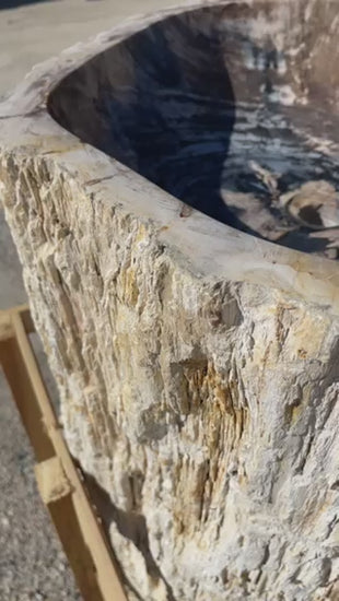 Petrified wood fossil stone pedestal sink at Impact Imports
