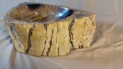 Petrified Wood Stone Vessel Sink, PW20